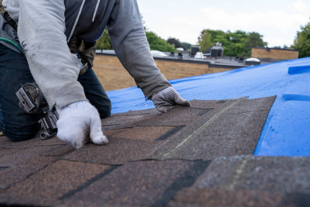 Best New Roof Installation  in Muncie, IN
